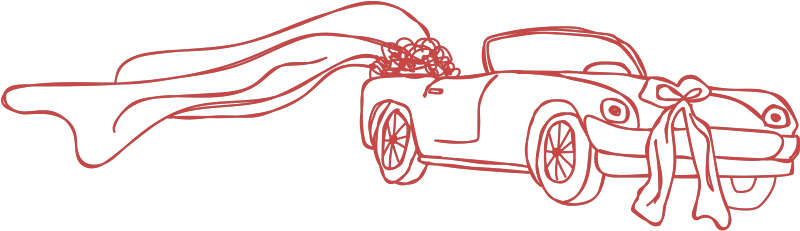 Wedding Car Decoration